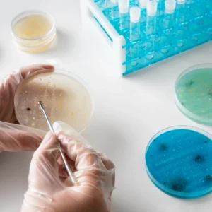 Actualización multidisciplinar en enfermedades infecciosas por grampositivas