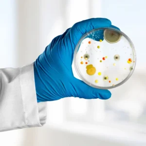 Manejo integral de muestras infecciosas en microbiología clínica: Técnicas y colaboración interprofesional